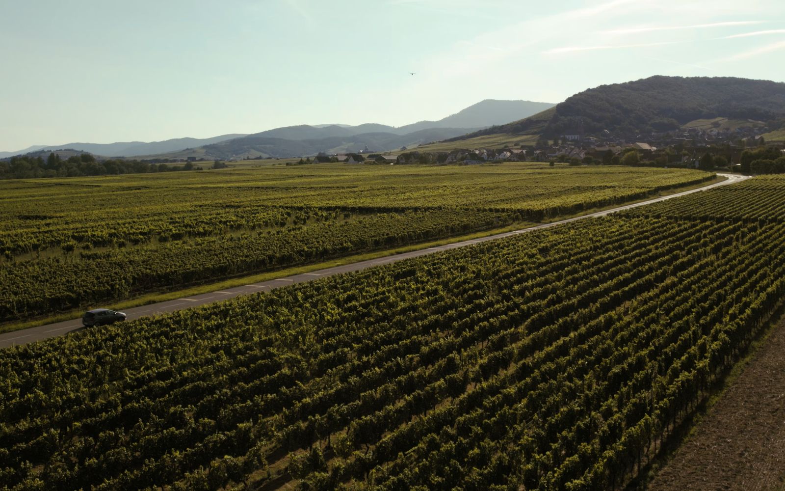 Monterey wine country